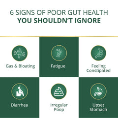 ShudhaGut – Herbal Supplement for Gas, Acidity & Constipation Relief | Form: Powder | Net Wt: 100 gms