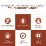 Manokaamya – Ayurvedic Combo for Male Vitality, Energy & Confidence - Triple Action Combo (Tablet M + Tablet E + Oil)