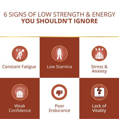 Manokaamya – Ayurvedic Combo for Male Vitality, Energy & Confidence - Triple Action Combo (Tablet M + Tablet E + Oil)