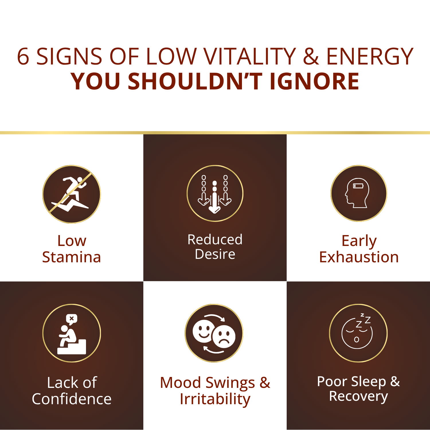 Kamaprabha – Ayurvedic Power Combo for Men's Performance, Energy & Vitality - Combo Pack