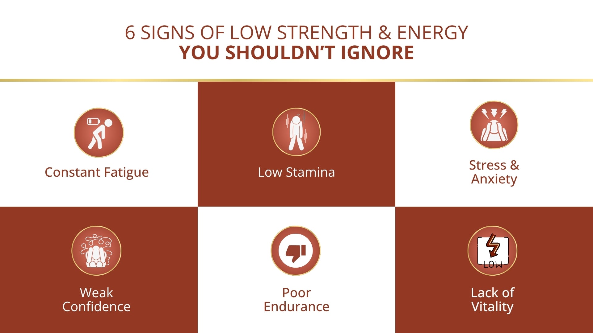 Manokaamya – Ayurvedic Combo for Male Vitality, Energy & Confidence - Triple Action Combo (Tablet M + Tablet E + Oil)