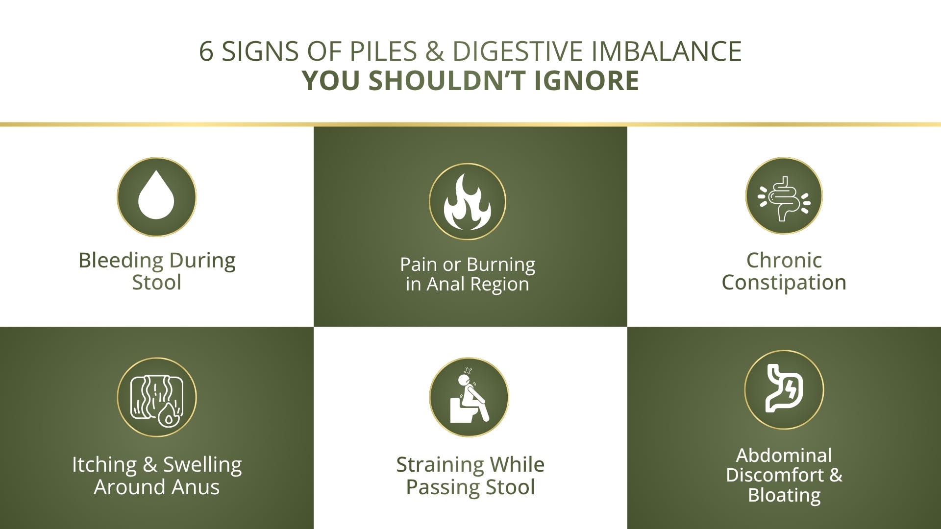 Pilesvati - Complete Ayurvedic Treatment for Piles, Fissures & Constipation - Combo Pack (Tablets, Powder & Spray)