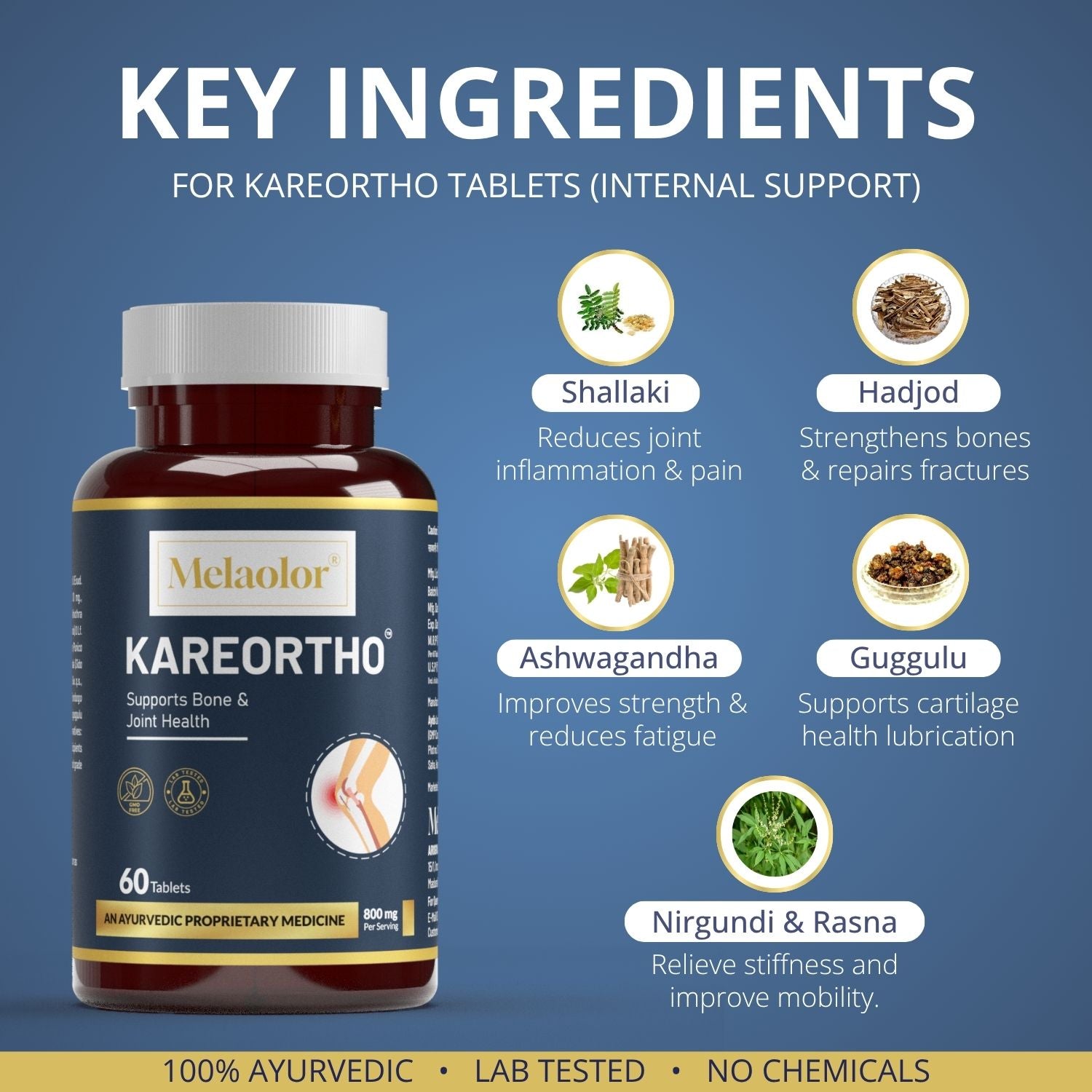 KareOrtho Combo – Ayurvedic Joint Pain Relief Kit with Tablets & Oil for Knee, Back & Shoulder Pain (Dual-Action Formula)