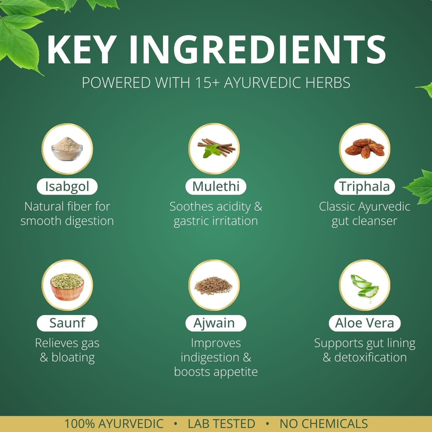ShudhaGut – Herbal Supplement for Gas, Acidity & Constipation Relief | Form: Powder | Net Wt: 100 gms