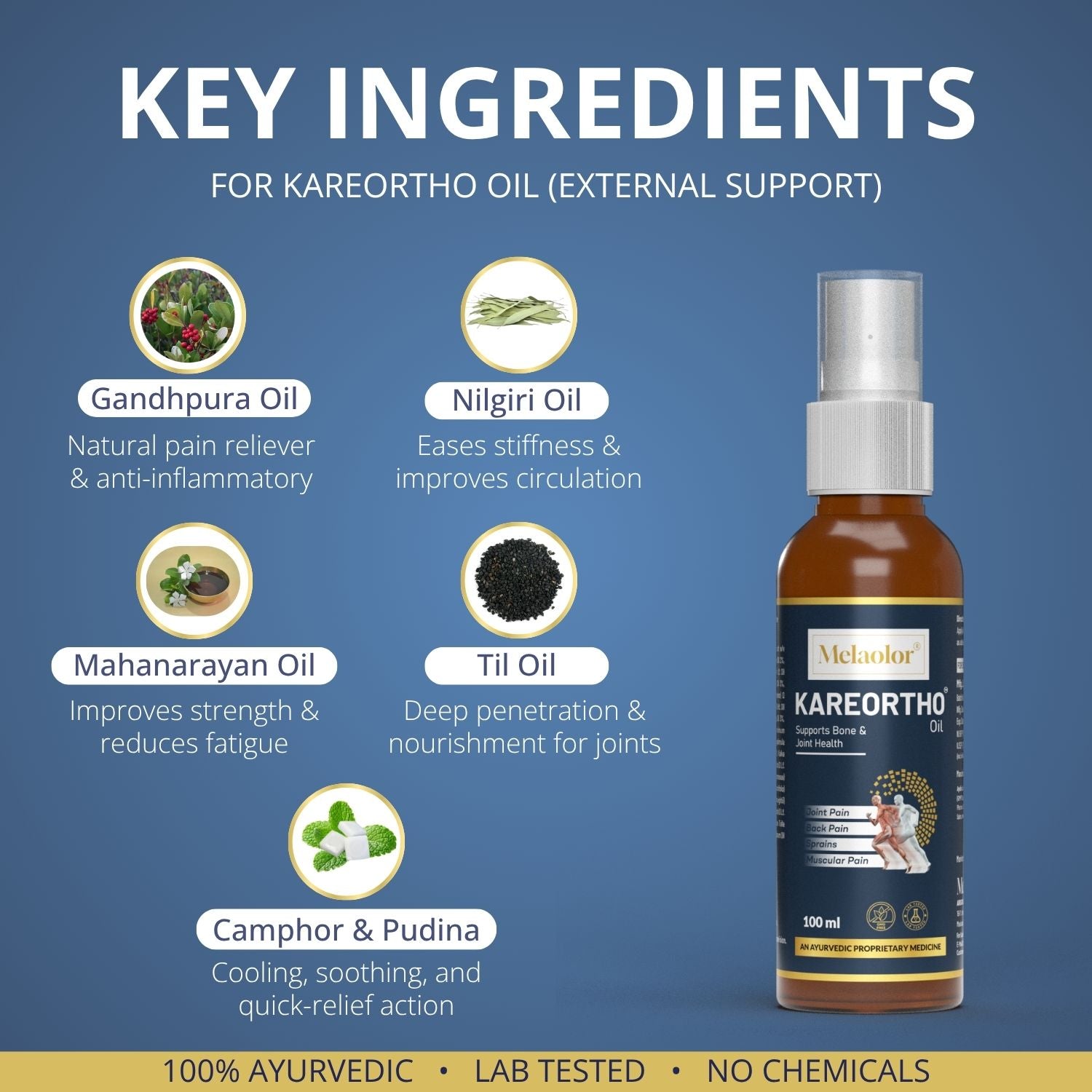 KareOrtho Combo – Ayurvedic Joint Pain Relief Kit with Tablets & Oil for Knee, Back & Shoulder Pain (Dual-Action Formula)