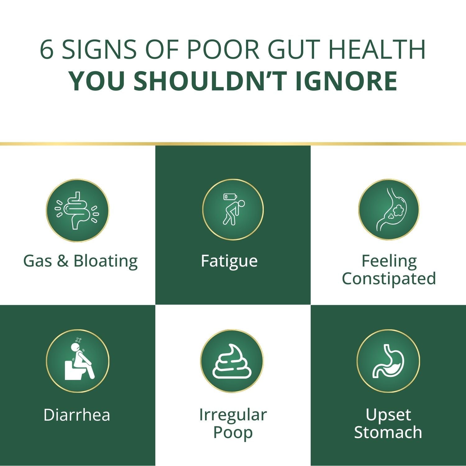 ShudhaGut – Herbal Supplement for Gas, Acidity & Constipation Relief | Form: Powder | Net Wt: 100 gms