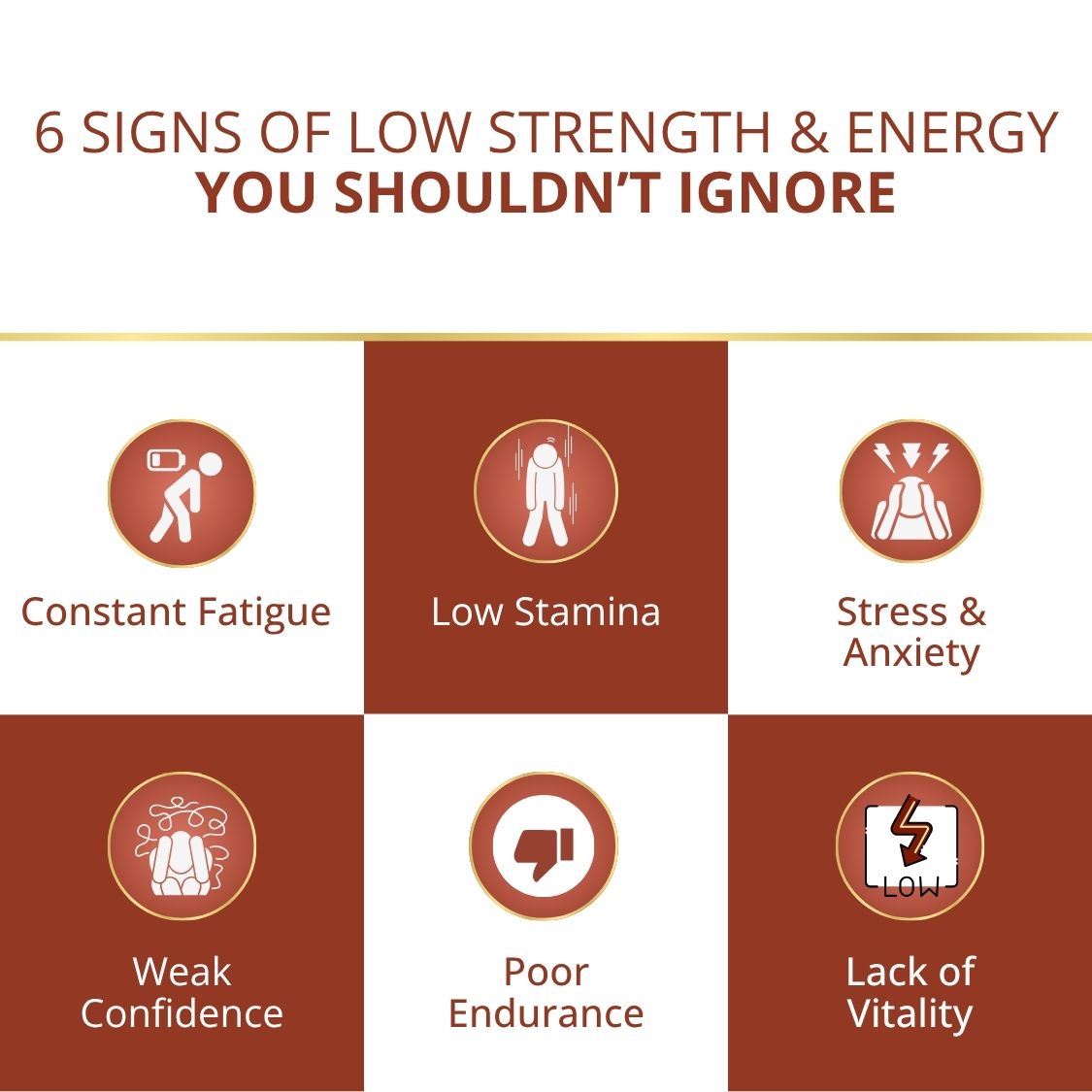 Manokaamya – Ayurvedic Combo for Male Vitality, Energy & Confidence - Triple Action Combo (Tablet M + Tablet E + Oil)