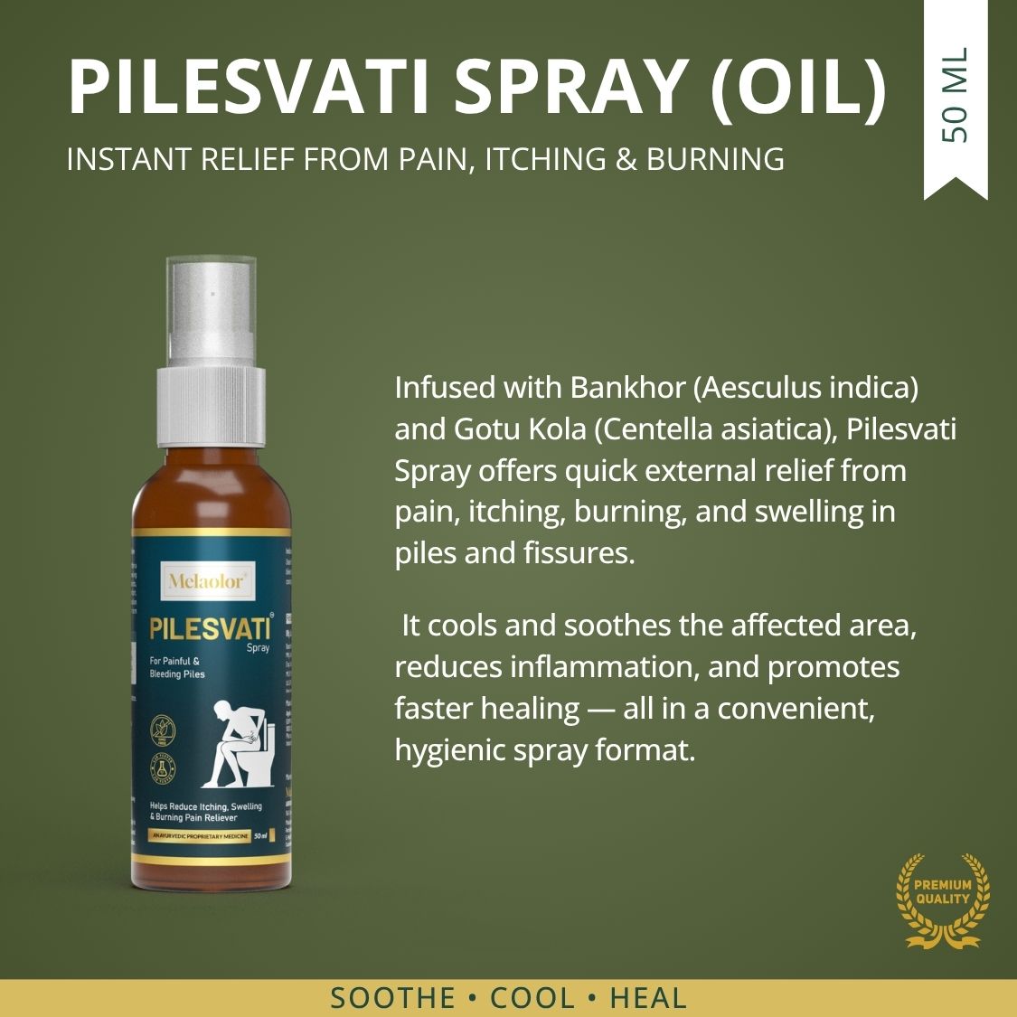 Pilesvati - Complete Ayurvedic Treatment for Piles, Fissures & Constipation - Combo Pack (Tablets, Powder & Spray)