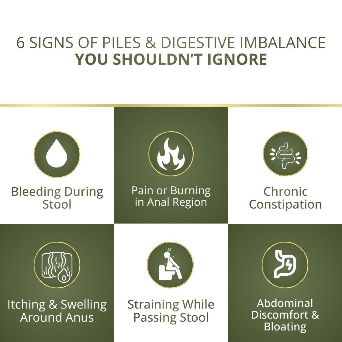 Pilesvati - Complete Ayurvedic Treatment for Piles, Fissures & Constipation - Combo Pack (Tablets, Powder & Spray)