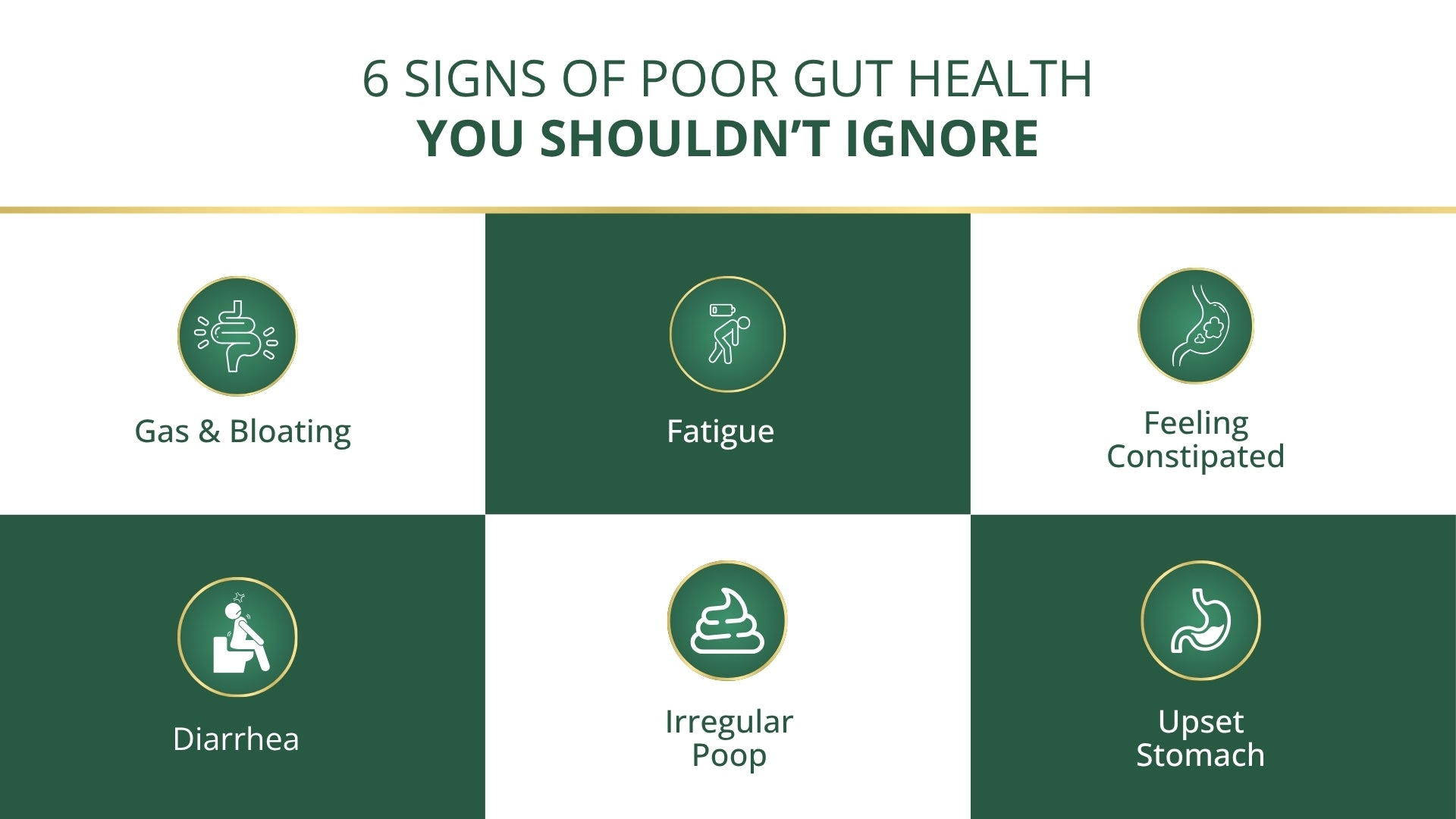 ShudhaGut – Herbal Supplement for Gas, Acidity & Constipation Relief | Form: Powder | Net Wt: 100 gms